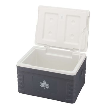 ThermoTect Subzero Cooler Tough 30,, small image number 1