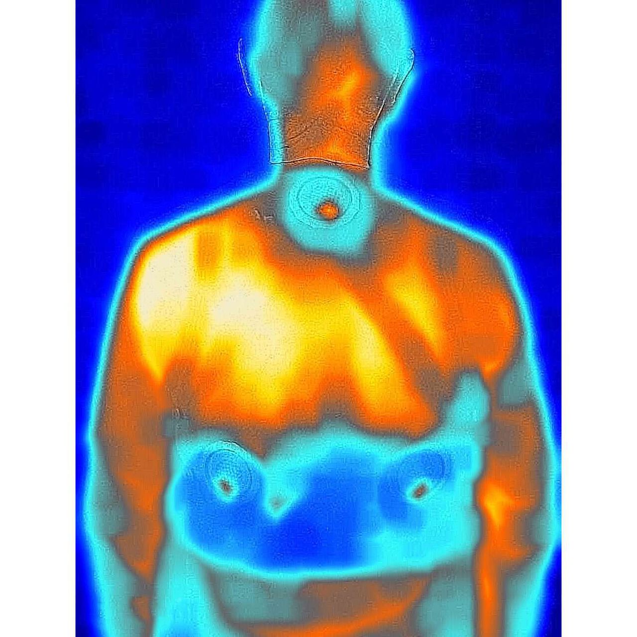 LOGOS Peltier Cooling Vest,, large image number 8