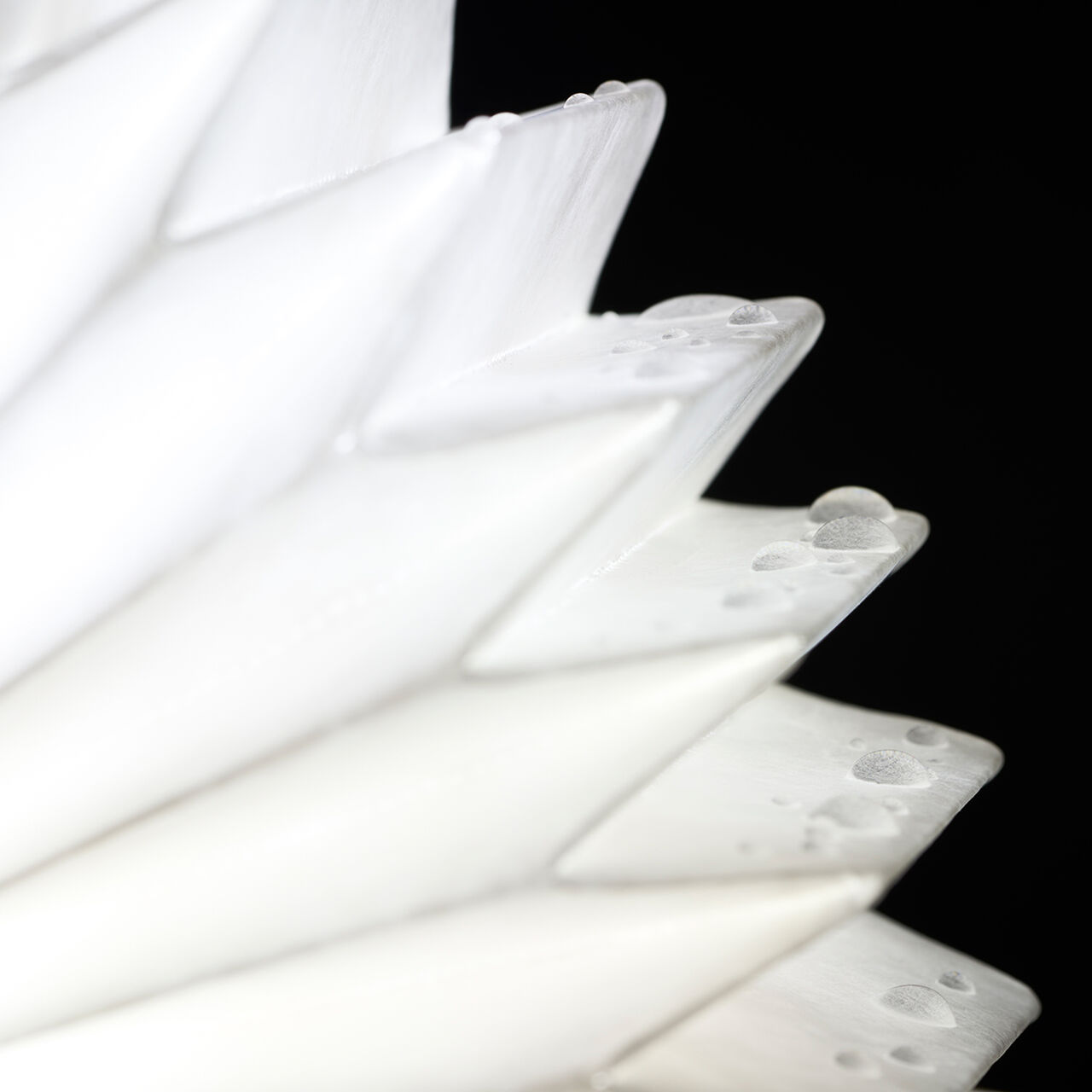 Surround Pole Light image number 19
