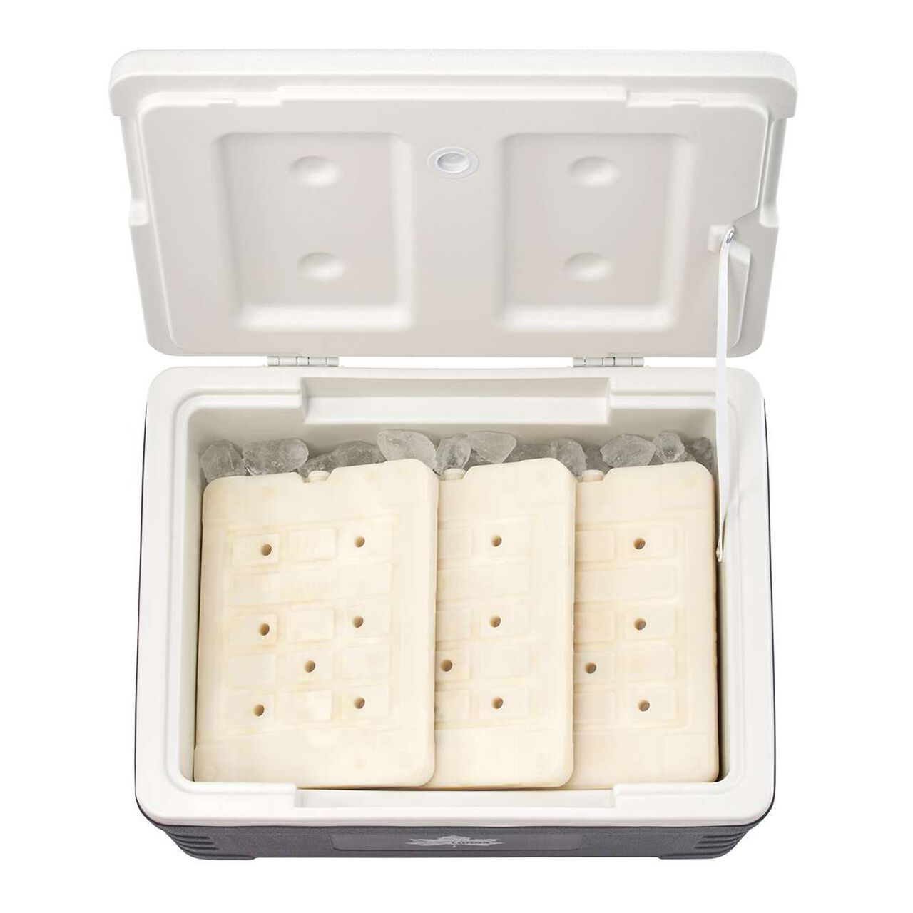 ThermoTect Subzero Cooler Tough 30,, large image number 3