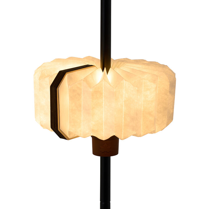Surround Pole Light,, medium