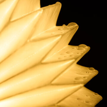 Surround Pole Light image number 18