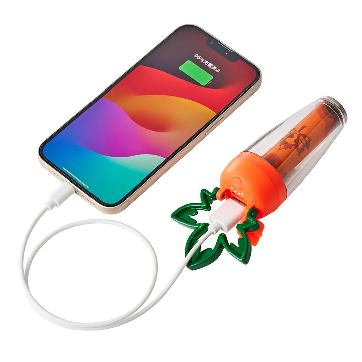 LOGOS Carrot Lantern,, medium